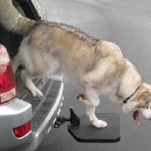 車用便攜寵物階梯